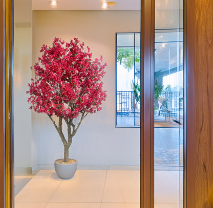 Árbol Bougainvillea – 250 cm