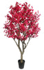 Árbol Bougainvillea – 250 cm
