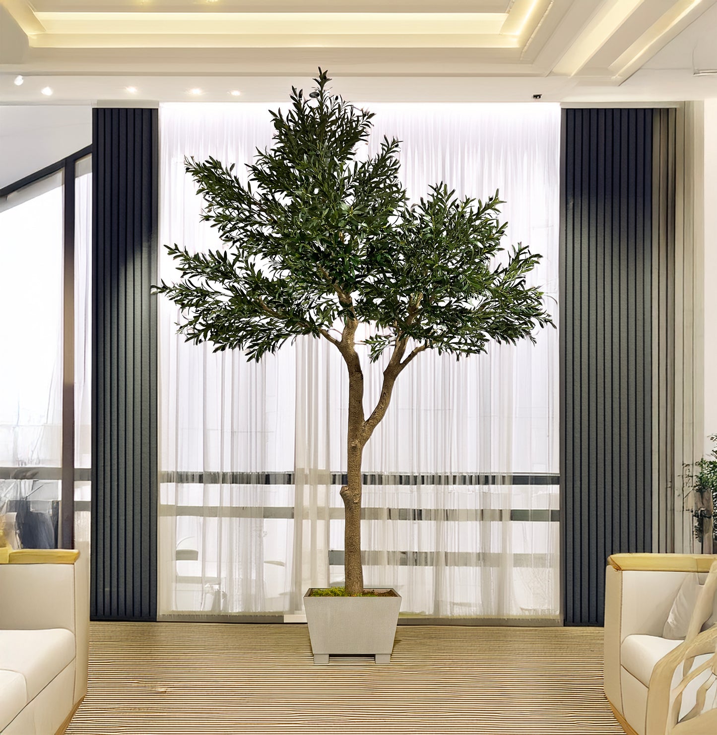 Árbol Olivo – 300 cm
