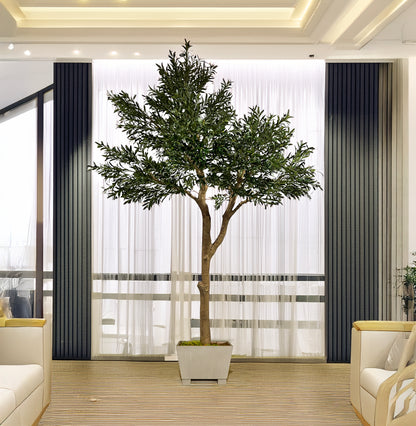 Árbol Olivo – 300 cm