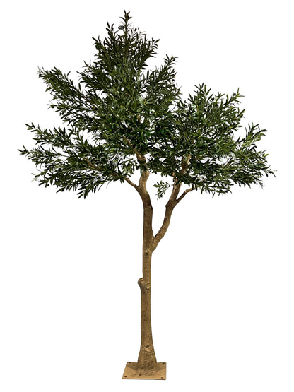 Árbol Olivo – 300 cm