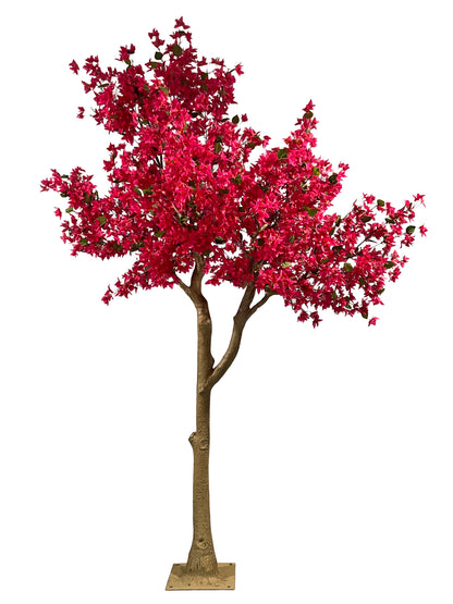 Árbol Bougainvillea – 300 cm