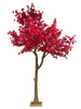 Árbol Bougainvillea – 300 cm