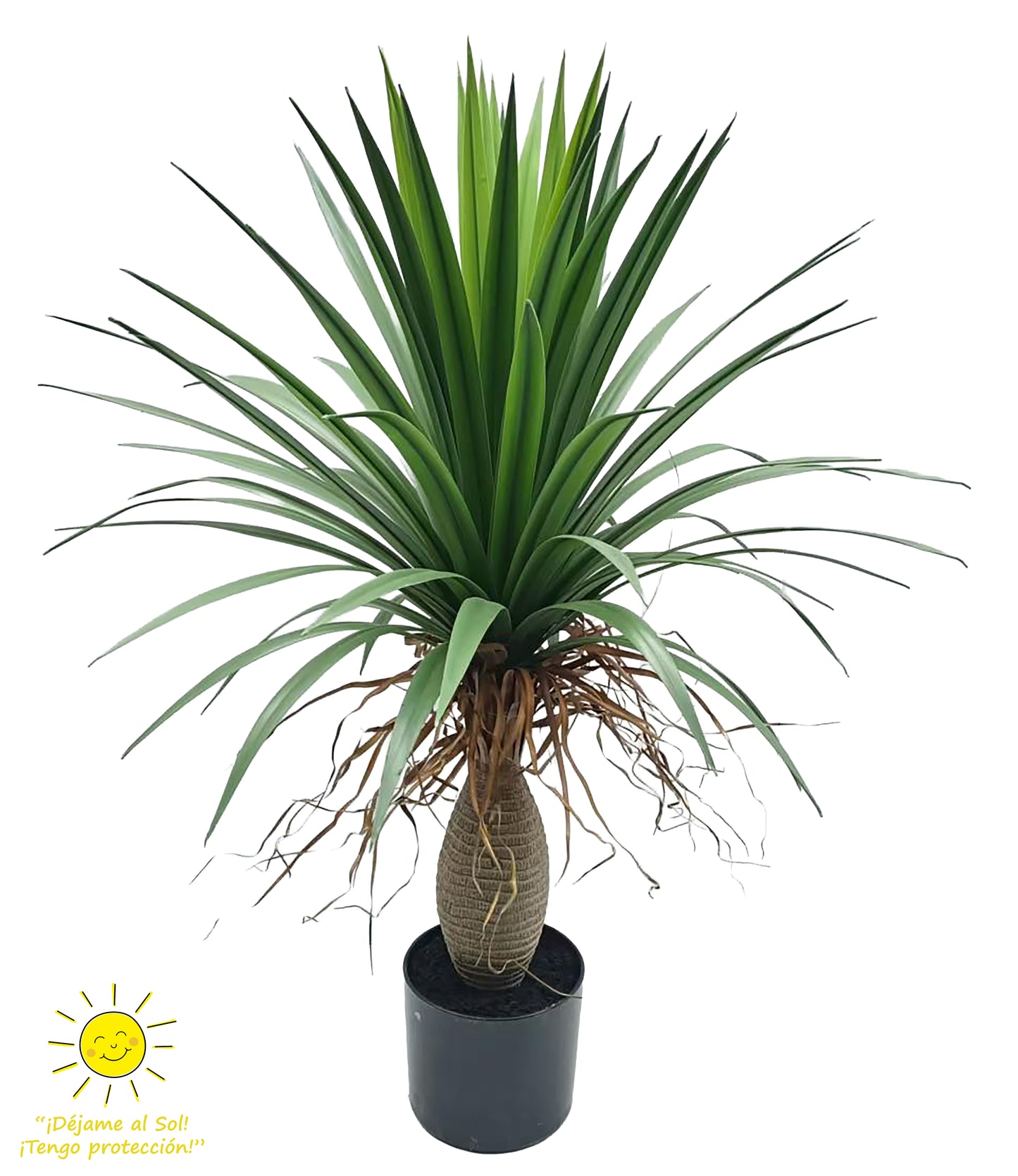 Yuca – 85 cm – Exterior