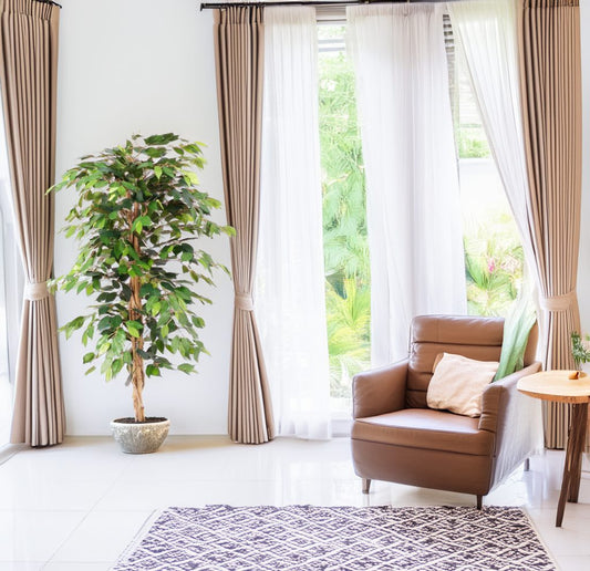 Árbol Ficus – 150 cm