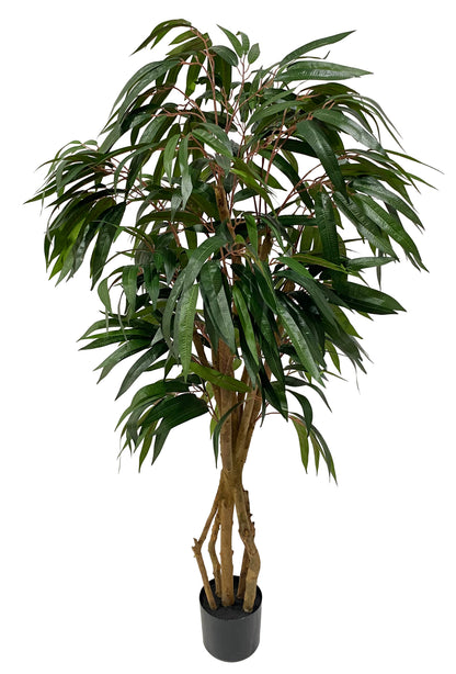 Árbol Almendro Blanco – 250 cm