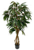 Árbol Almendro Blanco – 250 cm