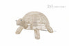 LÁMPARA TORTUGA JACINTO DE AGUA