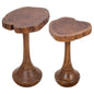 SET DE 2 MESITAS DE MADERA DE ACACIA — ESTILO NATURAL Y FUNCIONAL