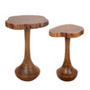 SET DE 2 MESITAS DE MADERA DE ACACIA — ESTILO NATURAL Y FUNCIONAL