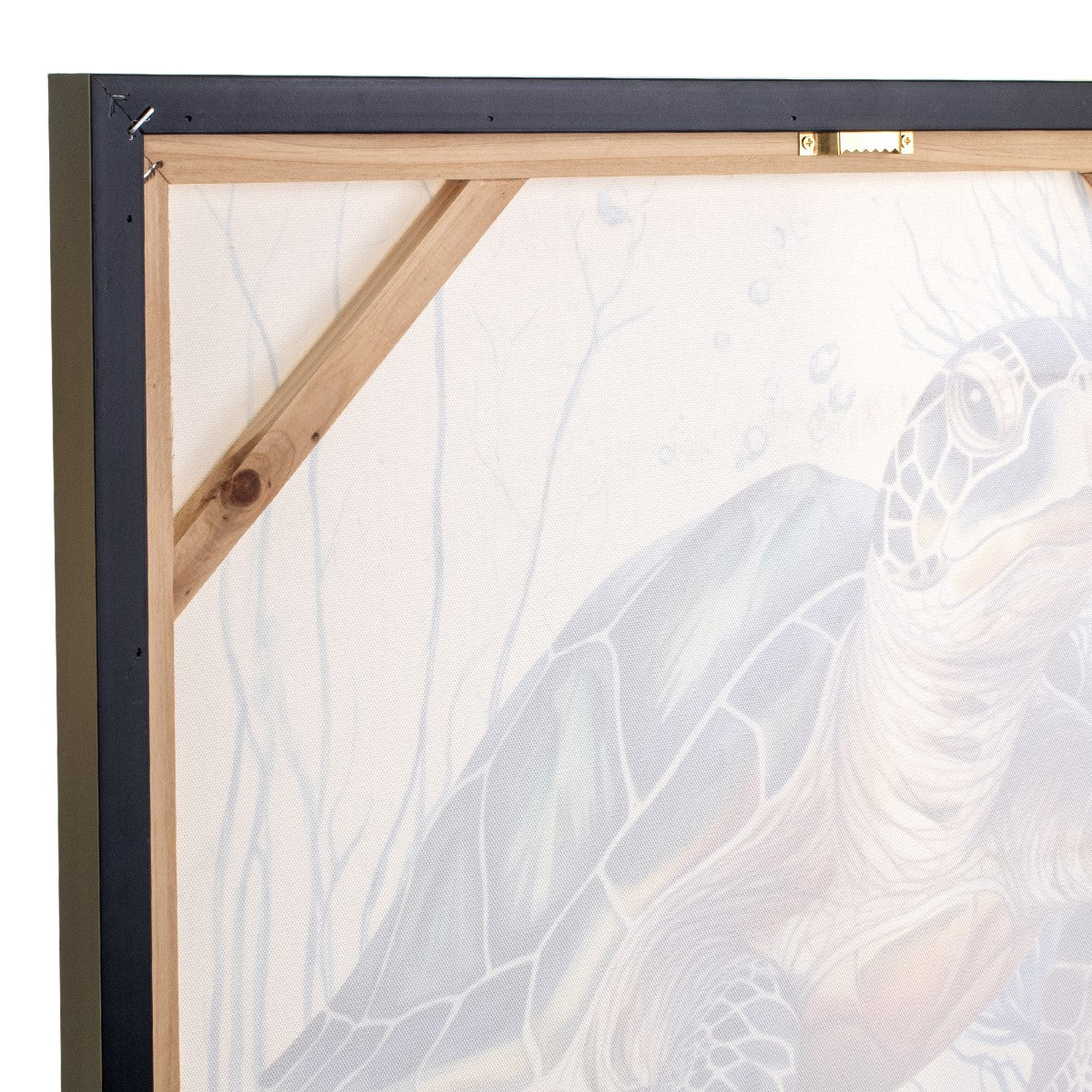 CUADRO TORTUGA 62×62 CM — LIENZO IMPRESO