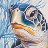 CUADRO TORTUGA 62×62 CM — LIENZO IMPRESO