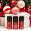 Set de Aceites Aromáticos Navideños