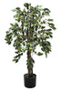 Árbol Ficus Verde – 75×114 cm