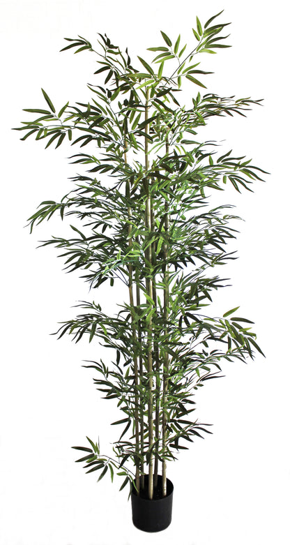 Árbol Bambu – 220 cm