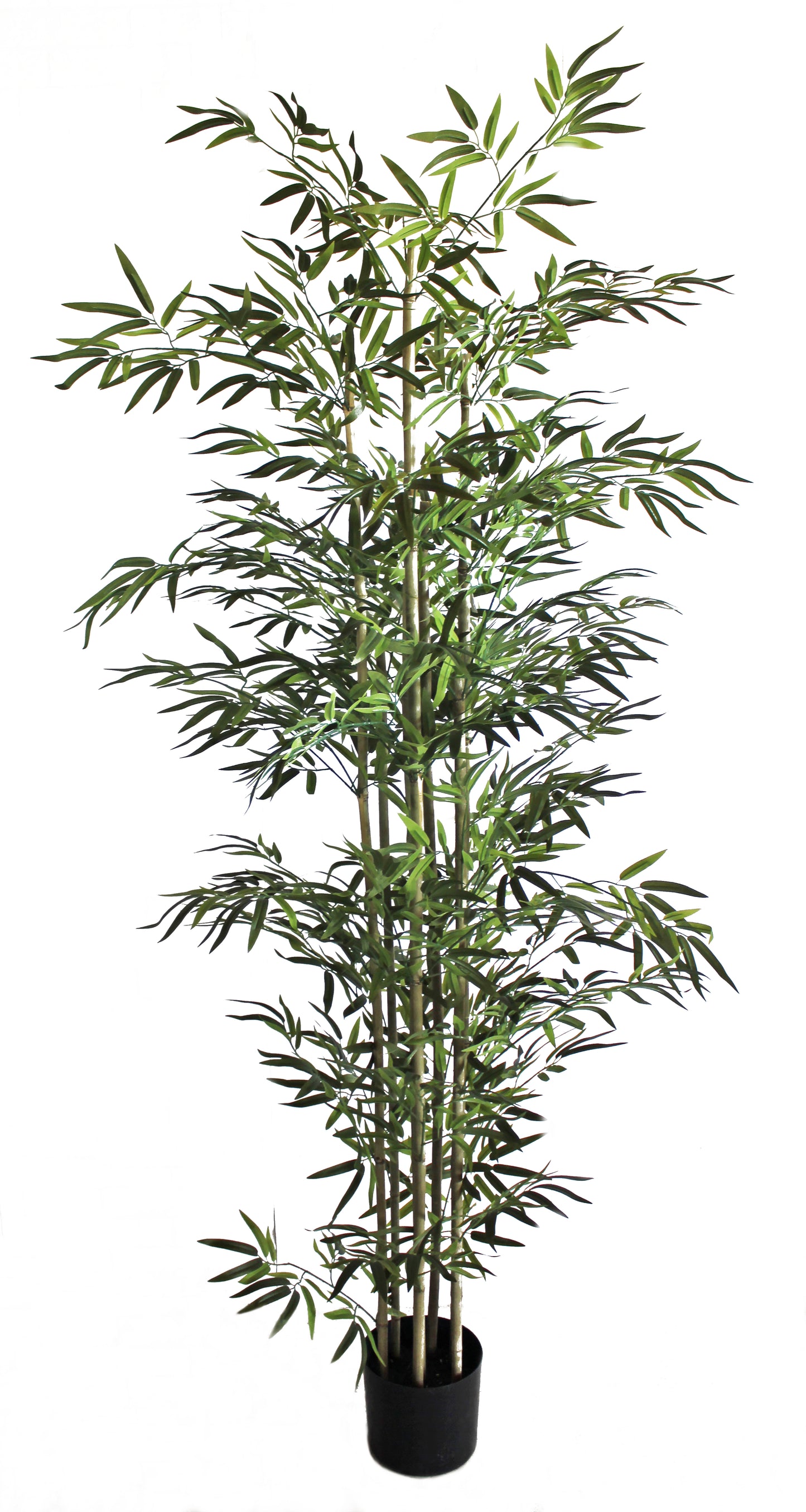 Árbol Bambú – 220 cm