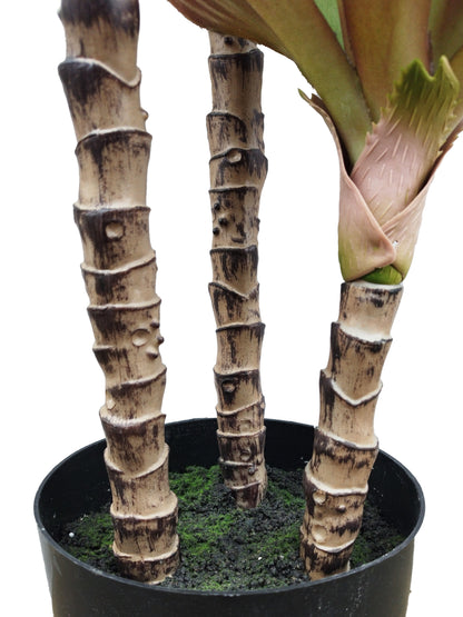 Árbol de Agave 3 Tallos para Exterior – 92 cm