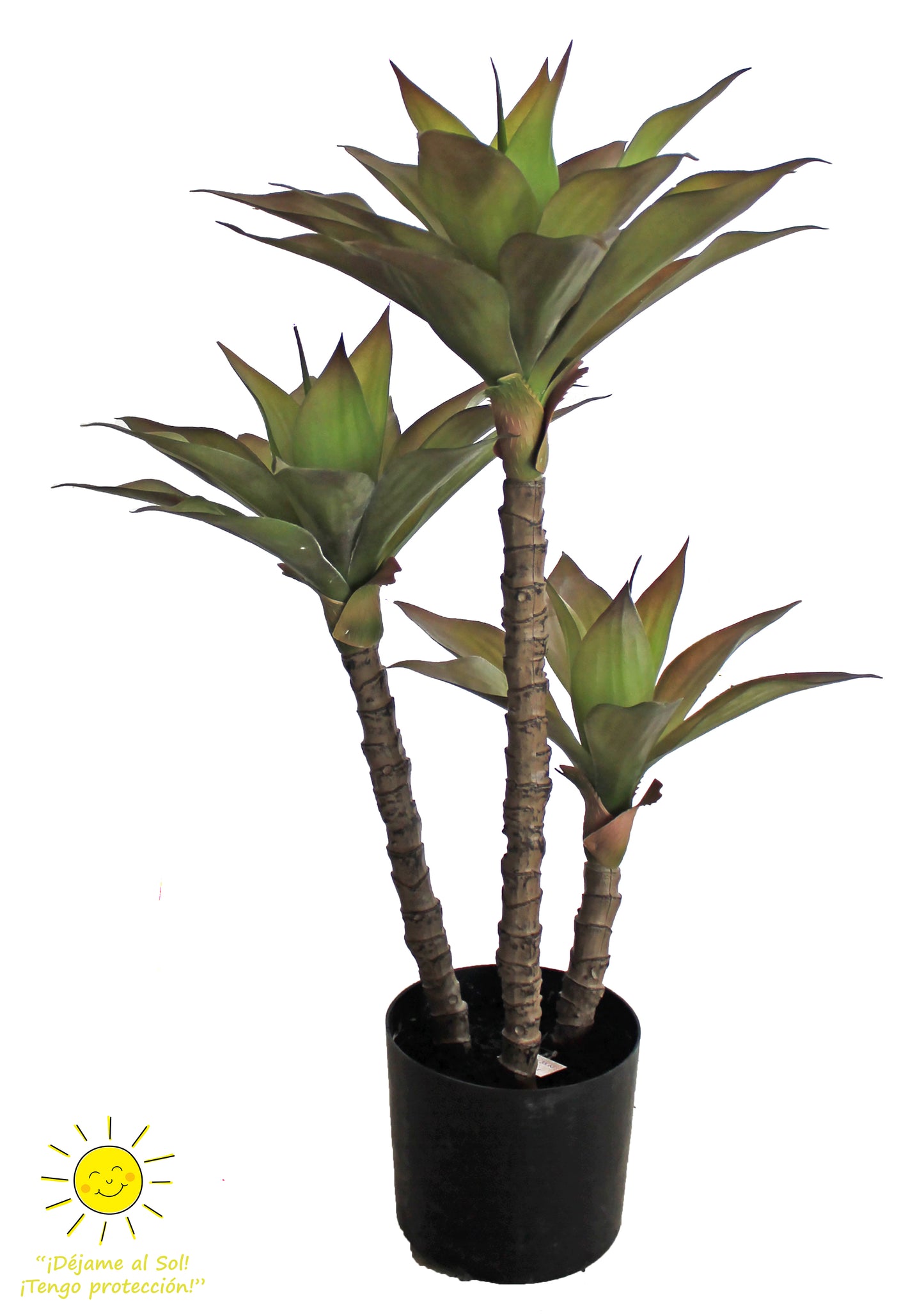 Árbol de Agave 3 Tallos para Exterior – 92 cm