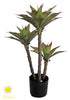 Árbol de Agave 3 Tallos para Exterior – 92 cm