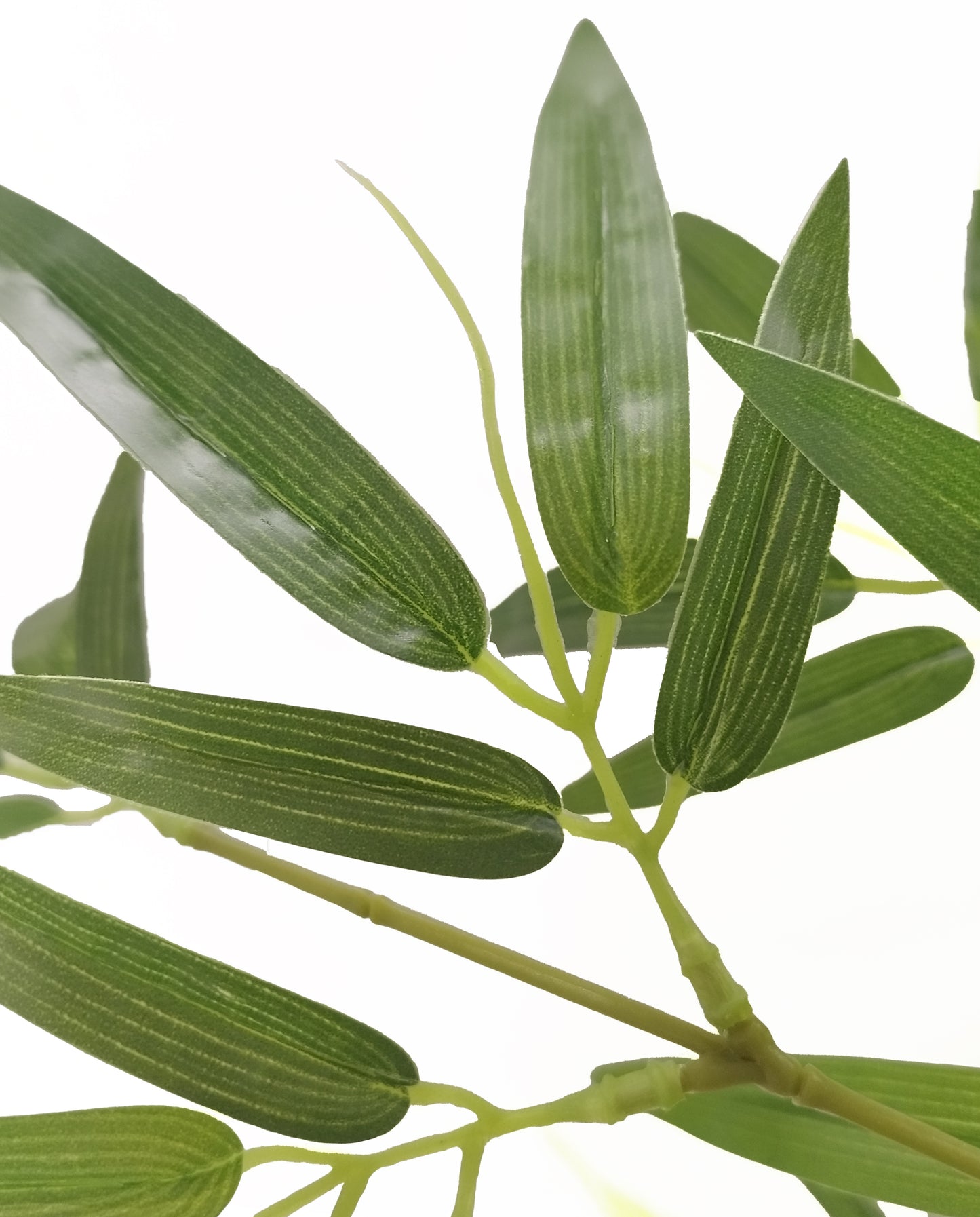 Árbol Bambú – Tronco Natural – 190 cm