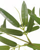 Árbol Bambú – Tronco Natural – 190 cm