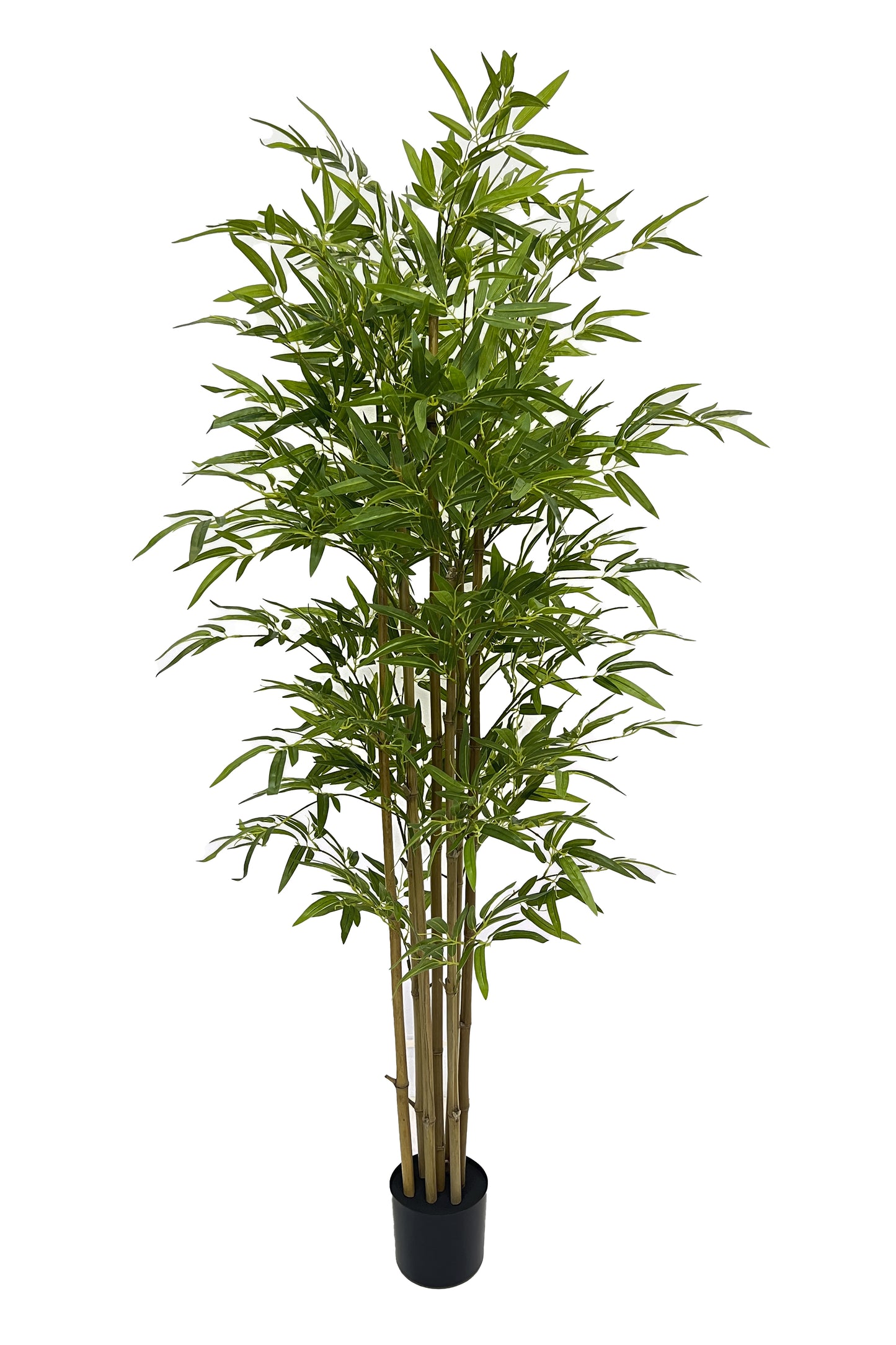 Árbol Bambú – Tronco Natural – 190 cm