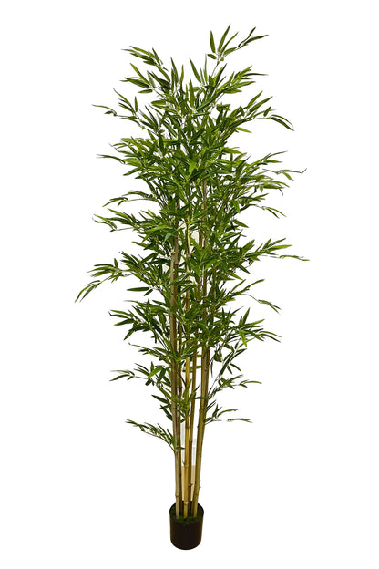 Árbol Bambú – Tronco Natural – 230 cm