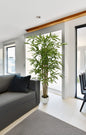 Árbol Bambú – Tronco Natural – 160 cm