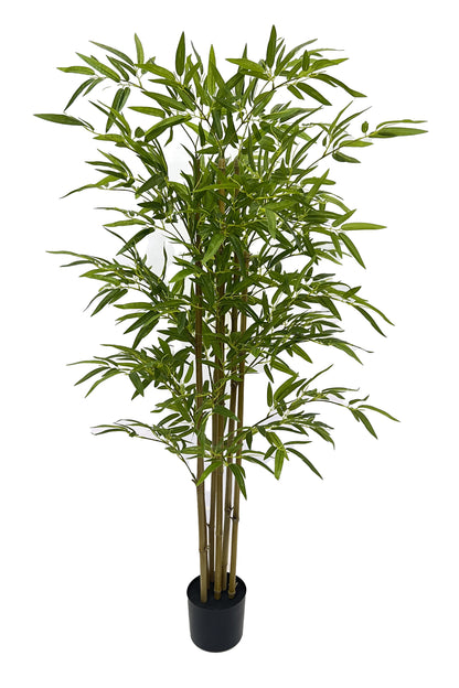 Árbol Bambú – Tronco Natural – 160 cm