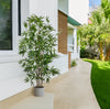 Árbol Bambú – Tronco Natural – Exterior – 180 cm