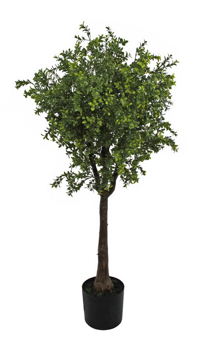 Árbol Boj – 120 cm