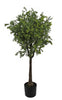 Árbol Boj – 120 cm
