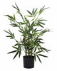 Árbol Bambú – Tronco Natural – 65 cm