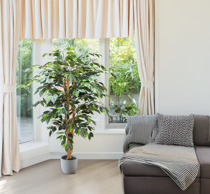 Árbol Ficus – 150 cm