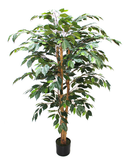 Árbol Ficus – 150 cm