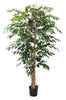Árbol Ficus – 180 cm
