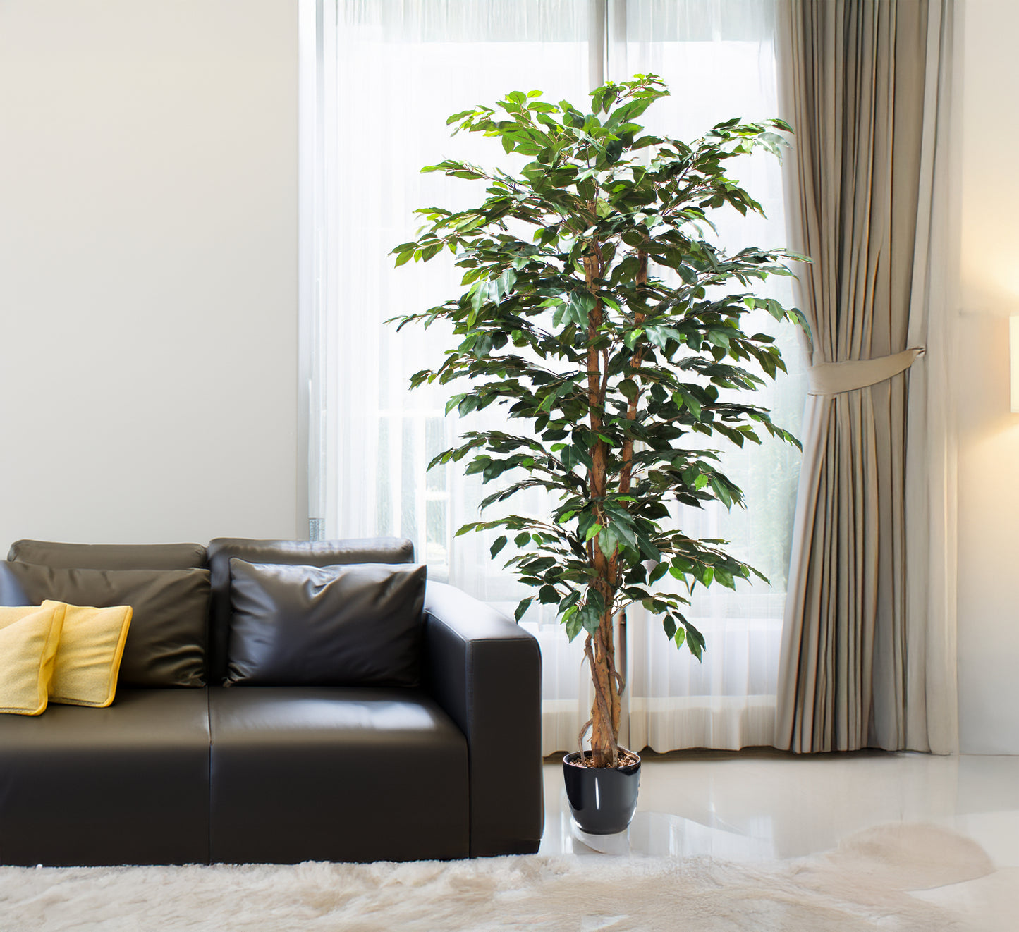 Arbol ficus 210 cm