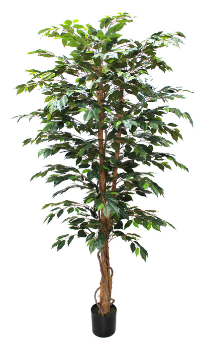 Arbol ficus 210 cm
