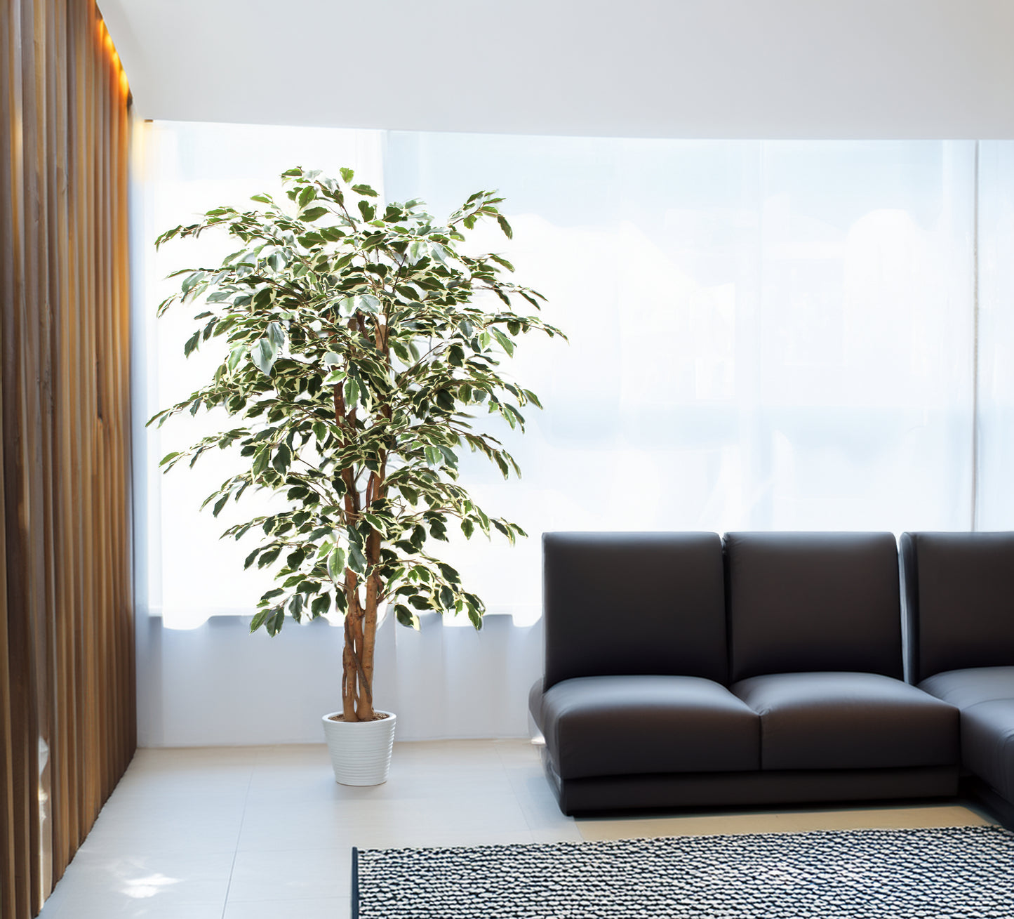 Árbol Ficus Matizado – 150 cm