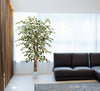 Árbol Ficus Matizado – 150 cm