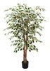 Árbol Ficus Matizado – 150 cm