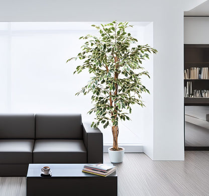 Árbol Ficus Matizado – 180 cm