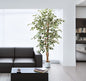 Árbol Ficus Matizado – 180 cm