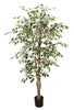 Árbol Ficus Matizado – 180 cm