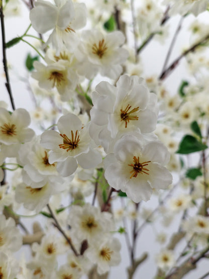 Árbol Almendro Blanco – 240 cm