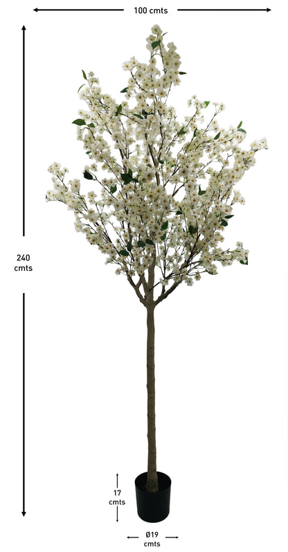 Árbol Almendro Blanco – 240 cm