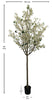 Árbol Almendro Blanco – 240 cm