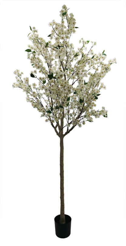 Árbol Almendro Blanco – 240 cm