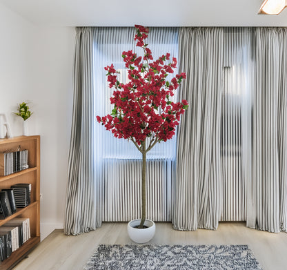 Árbol Bouganvilla – 240 cm