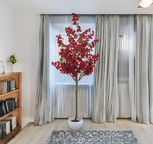 Árbol Bouganvilla – 240 cm